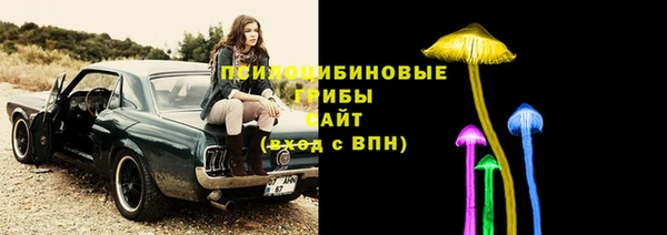 стафф Лабытнанги