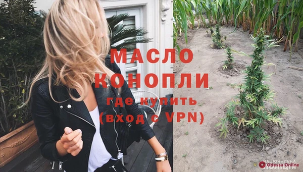 хмурый Ладушкин