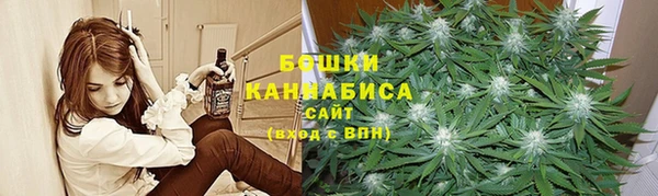 хмурый Ладушкин