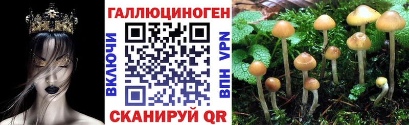 KRAKEN ссылки  продажа наркотиков  Таштагол  Галлюциногенные грибы Magic Shrooms 